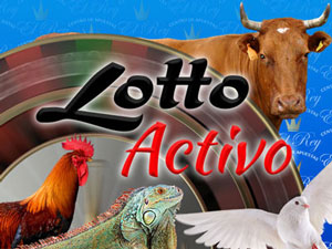 lotto-activo