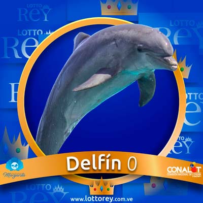 lotto-rey-resultado