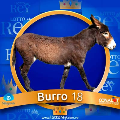 lotto-rey-resultado