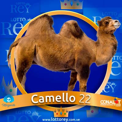 lotto-rey-resultado
