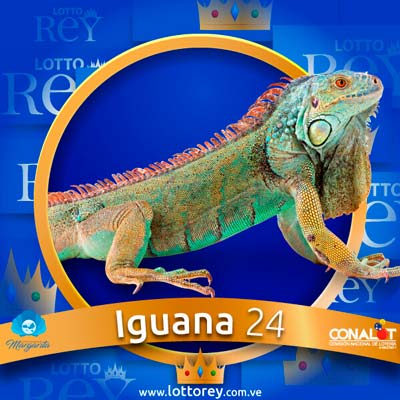 lotto-rey-resultado