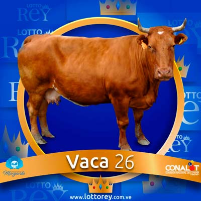 lotto-rey-resultado