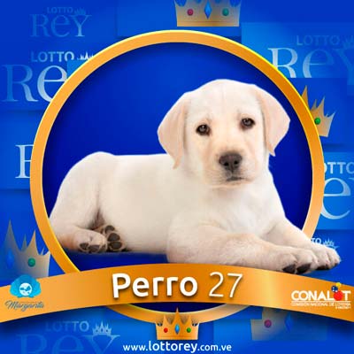 lotto-rey-resultado