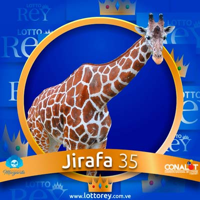 lotto-rey-resultado