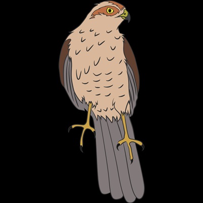 centena-plus-resultado