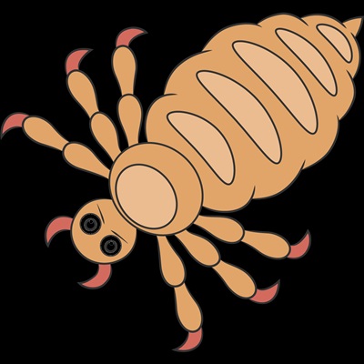 centena-plus-resultado