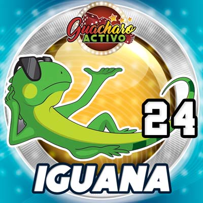 guacharo-resultado
