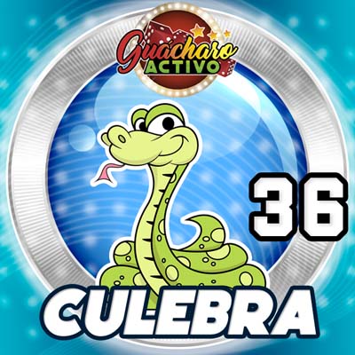 guacharo-resultado
