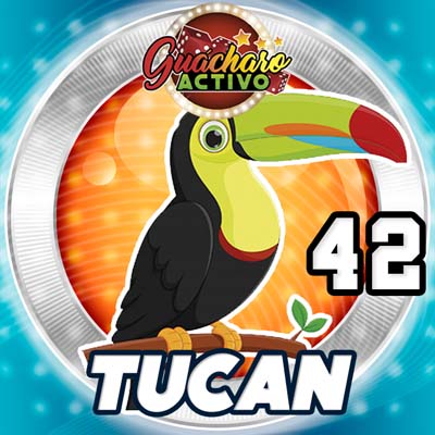 guacharo-resultado