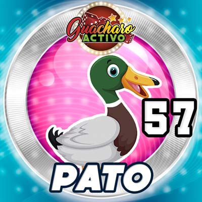 guacharo-resultado