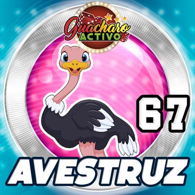 guacharo-resultado