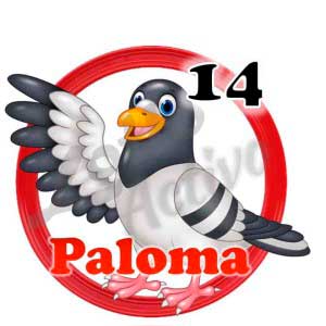 lotto-activo-resultado