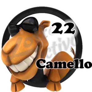 lotto-activo-resultado