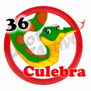 lotto-activo-resultado