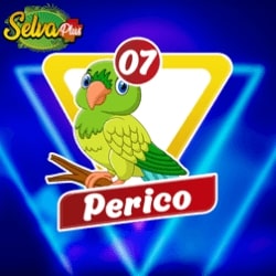 selva-plus-resultado