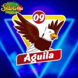 selva-plus-resultado