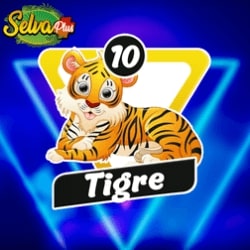 selva-plus-resultado