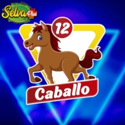 selva-plus-resultado