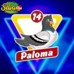 selva-plus-resultado
