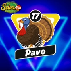 selva-plus-resultado