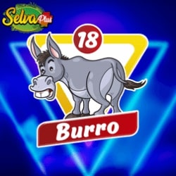 selva-plus-resultado