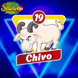 selva-plus-resultado