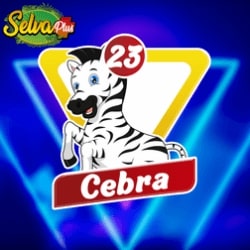 selva-plus-resultado