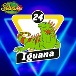 selva-plus-resultado