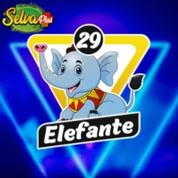 selva-plus-resultado